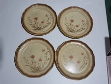 Set of 4 Vintage Mikasa Whole Wheat Jardiniere E8016 10.75” Dinner Plates