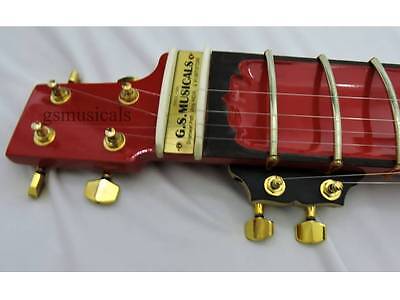 ZITAR FUSION SITAR NILADRI KUMAR STYLE WITH FIBERGLASS CASE ZITAR FUSION SITAR NILADRI KUMAR STYLE WITH FIBERGLASS CASE