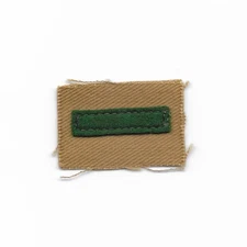 Assistant Patrol Leader 1914-1933 APLB-1-1-2 THIN Boy Scouts of America BSA ct
