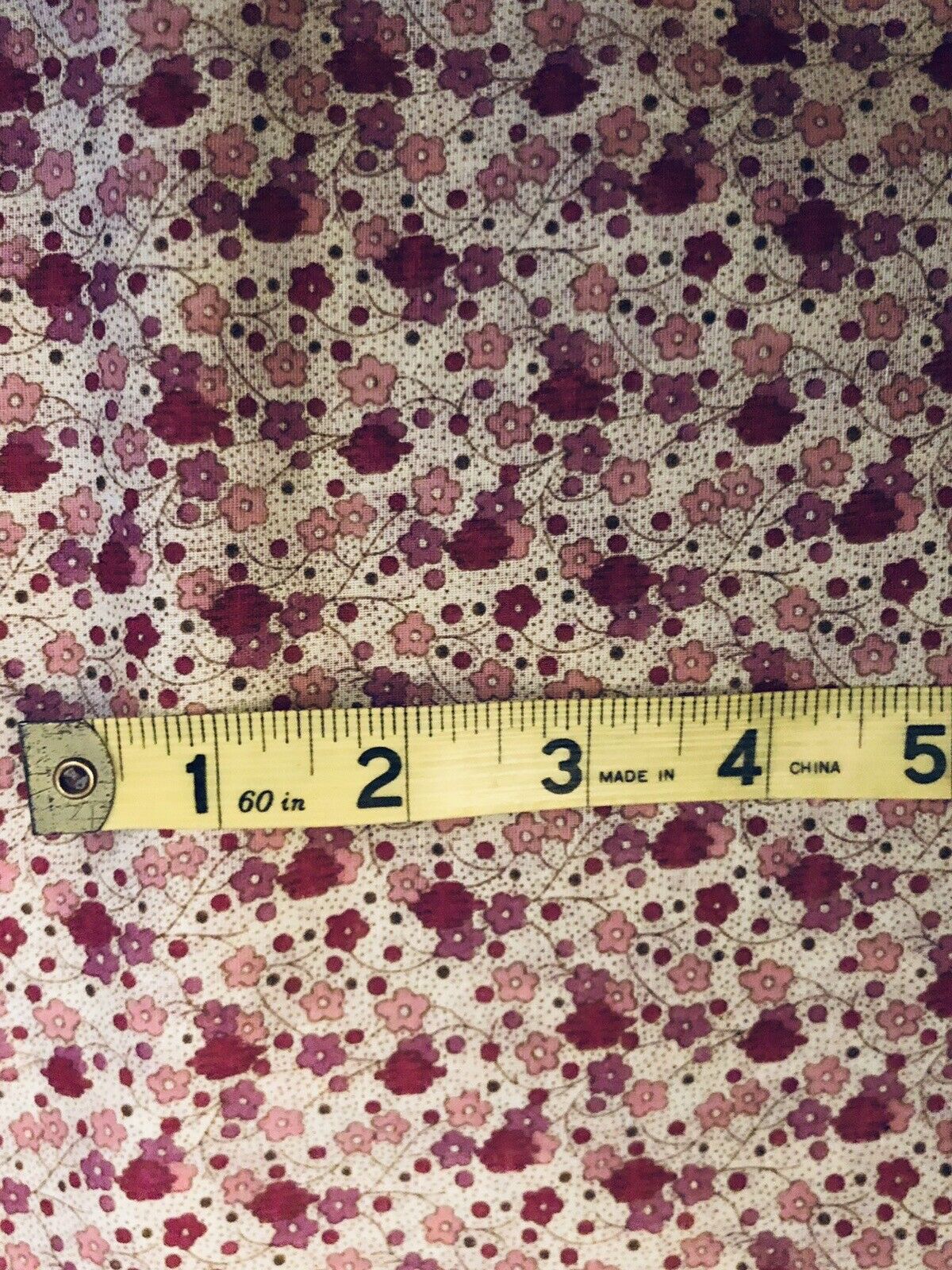 Picture 5 of 5