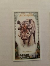 2020 Topps Allen & Ginter Mini Safari Sights Insert Warthog #SS-8 FREE SHIPPING