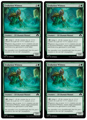 MTG - 4 x Evolution Witness (Spielset) - Elf - Modern Horizons 3 (MH3) - M/NM
