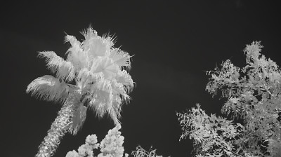 Infrared 850 nm Sony A5000 CSC ILCE-5000L E-Mount IR Ghost