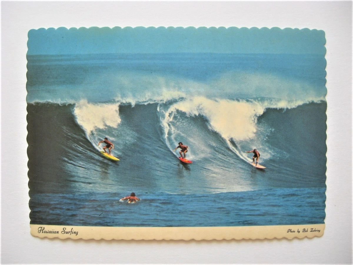 Ebay surf 2024