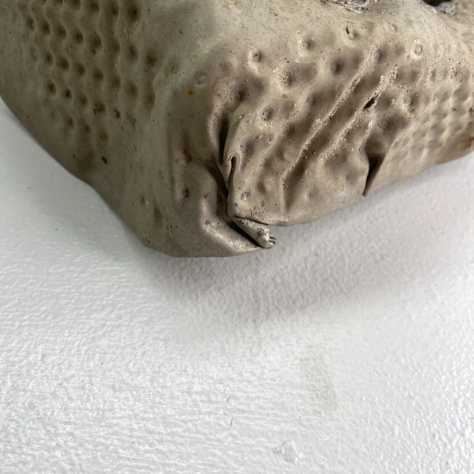 Chrysler 300 Dodge Charger 2005-2010 3,5 L montaje del motor izquierdo protector térmico fabricante de equipos originales Foto 3 de 4