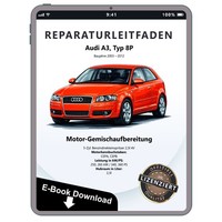 Audi A3 8P 2003-2012 Benzin Einspritz ZüNdanlage 2,5L Reparaturhandbuch Download