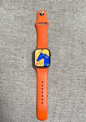 Apple Watch Hermes Series 9 41mm Silver Stainless Steel Case Sport Band Only