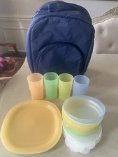 Tupperware Retired Picnic Backpack 4 Sets Plates Bowls Glasses