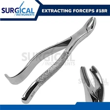 Extracting Forceps Dental Surgical Instruments #18R Stainless German Grade