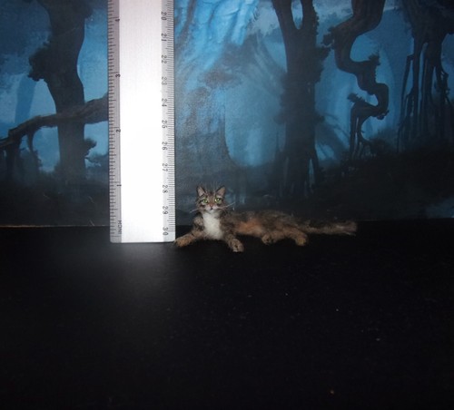 Tabby cat realistic miniature MADE TO ORDER OOAK 1:12 dollhouse handmade IGMA - Picture 7 of 7