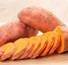 10 Beauregard Sweet potato Plants Slips - Cuttings - Organically Grown - Khoai