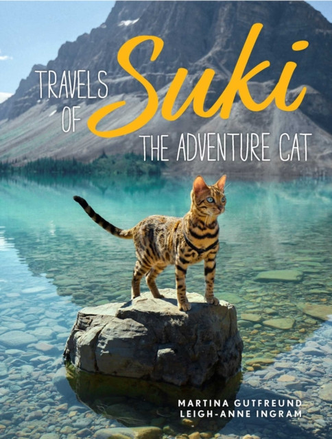 Travels of Suki the Adventure Cat by Leigh-Anne Ingram (Hardback Book)