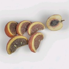 Faux Food Prop Sugar Frosted Orange Wedges And Peach Half