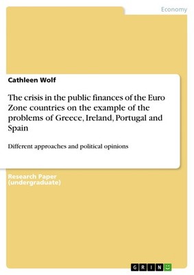 The crisis in the public finances of the Euro Zone countries on the example of