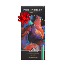 Premier Nupastels, Firm Pastel Color Sticks, 36 Count - For Textures, Blendin...