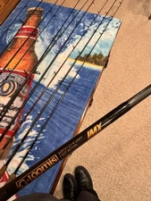 G Loomis IMX 6’ Light Fast Action Spinning Rod. (I Have 2 Listed Separately).