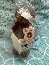 Boyds Bears Kathy B. Bearsley PLUSH NEW WITH TAGS