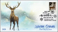 20-251, 2020, Winter Scenes, FDC, Pictorial Postmark, Deer