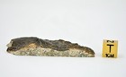 Picture 6 of 6