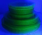 Green Depression Uranium Glass Plate Group - Florentine Fruits Green Hazel Atlas