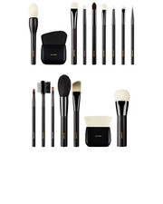 Rae Morris Pro Starter Set Of 15 Brushes Make Up Artist NIB 1060