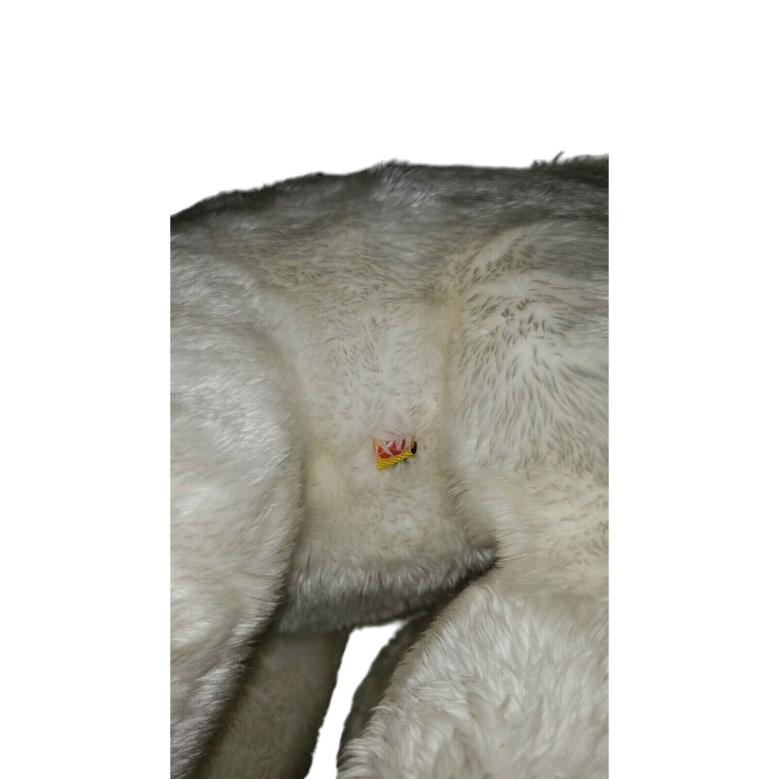 Picture 5 of 7
