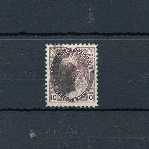 from cat st　10冊 713iFAjwgrL._UF1000,1000_QL80_.jpg