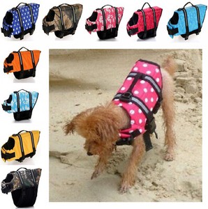 cute dog life jacket