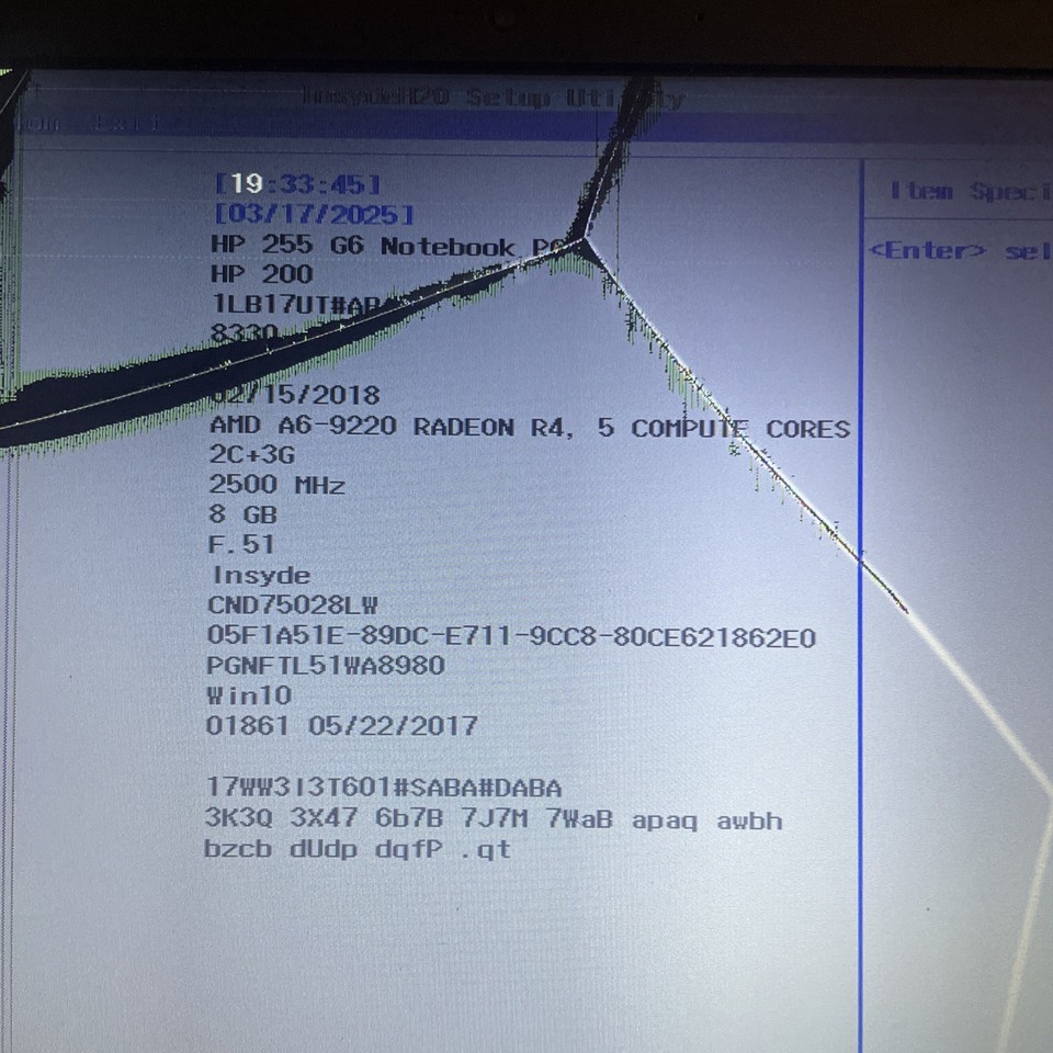 HP 255 G6 Laptop, AMD A6-9220 Radeon R4, 2.50GHz, 8GB RAM, 256GB SSD ...