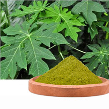 Poudre de feuilles de papaye | Ceylan bio naturel | améliorer la poitrine |...