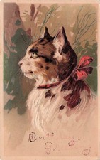 Tarjeta de cumpleaños de dama gato persa angora gatito lazo rojo postal de colección I64