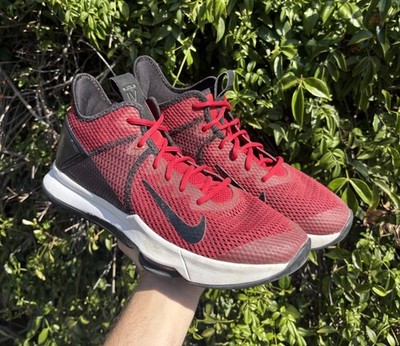Nike Lebron Witness 4 — купить недорого, цены display picture 2