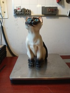 Napcoware Import-japan 10" Porcelain Cat