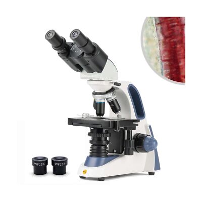 SWIFT SW380B 40X-2500X Magnification, Siedentopf Head, Research-Grade Binocul...