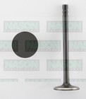<!--F#f_0-->8 X EXHAUST VALVE FOR HOLDEN COMMODORE VL VN VP VR VS VT 5.0L V8 304CI 86-00<!--F/-->