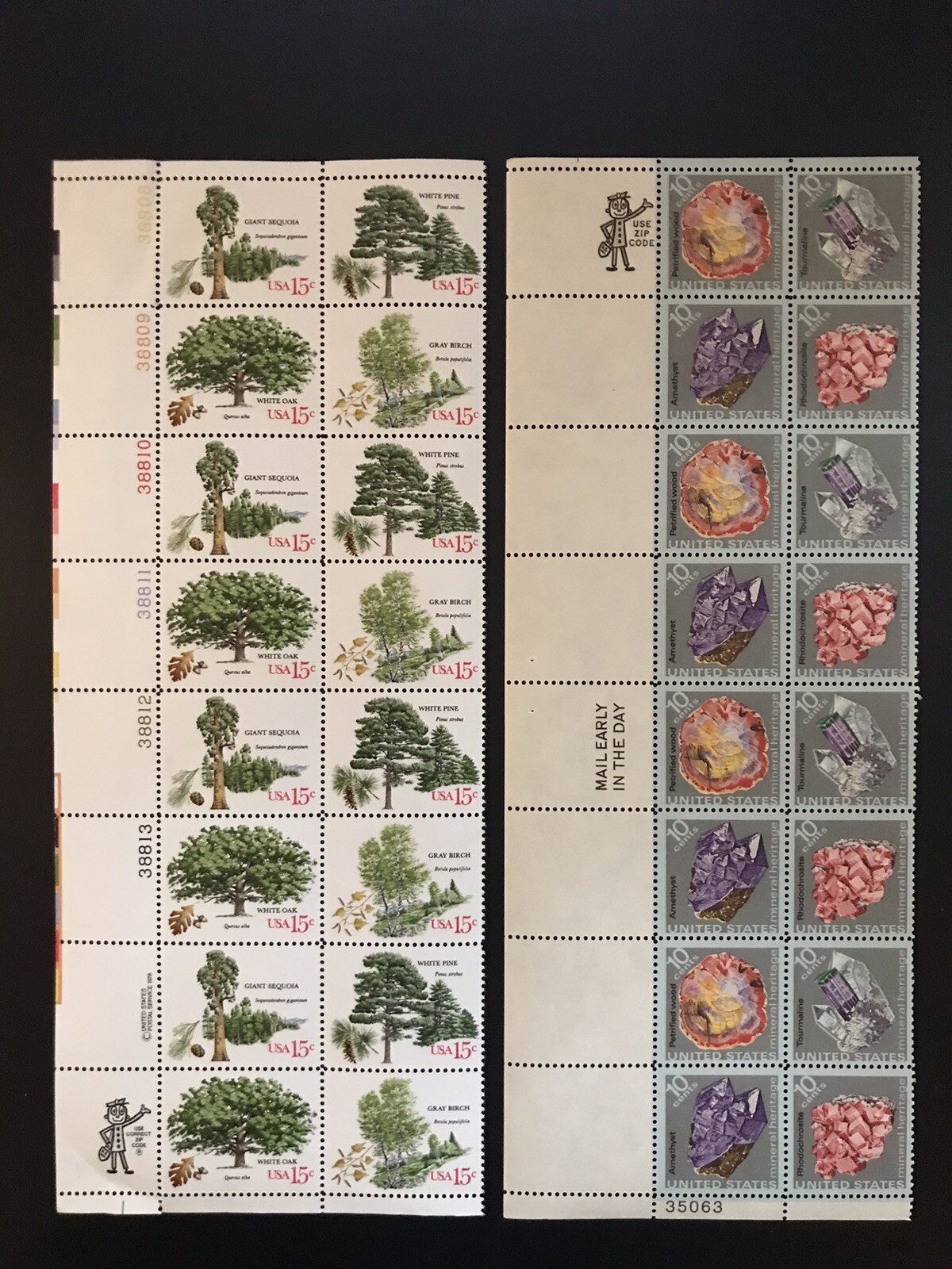 Picture 6 of 11
