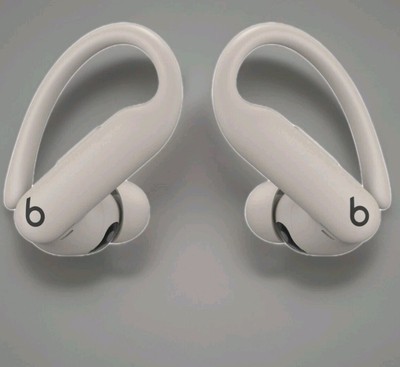Beats Powerbeats Pro 2 Wireless Kopfhörer Neu/OVP /Grau