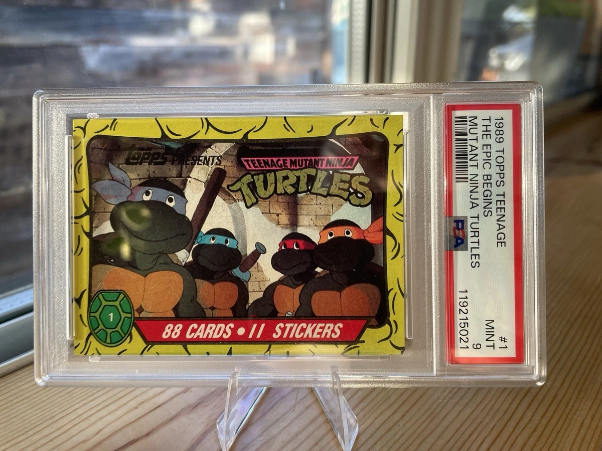 Teenage Mutant Ninja Turtles Professional Sports Authenticator