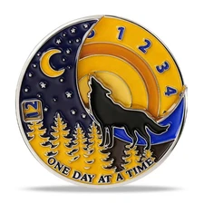 Affirmation "One Day at a Time" Sobriety Coin Recovery AA Medallion Sober Gift