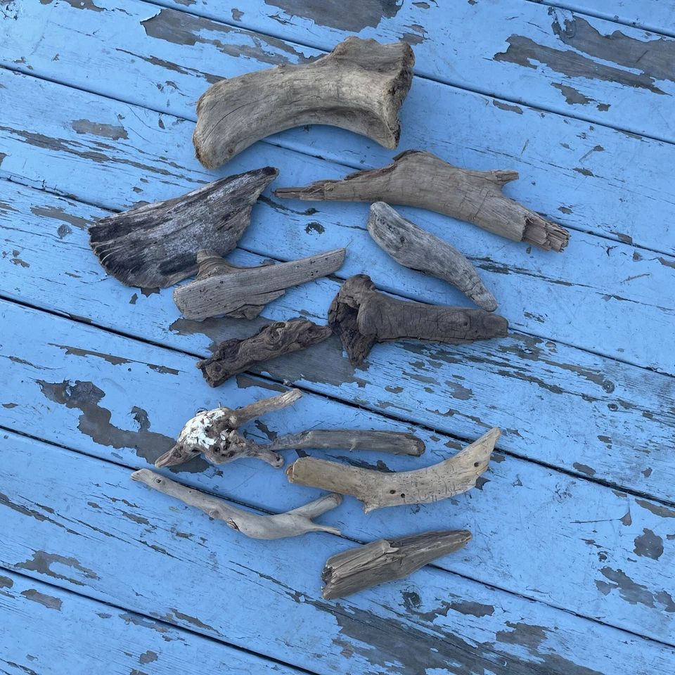 Madera a la deriva sin tratar GRAN lote decoración acuario terrario reptiles artesanía Foto 2 de 4