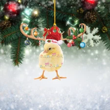 Baby chicken Christmas Light Ornament, small chicken Christmas Tree Decor