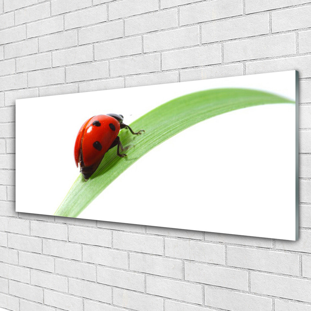 Tableau nature coccinelle 125x50 cm, impression sur verre acrylique brillant pour salon