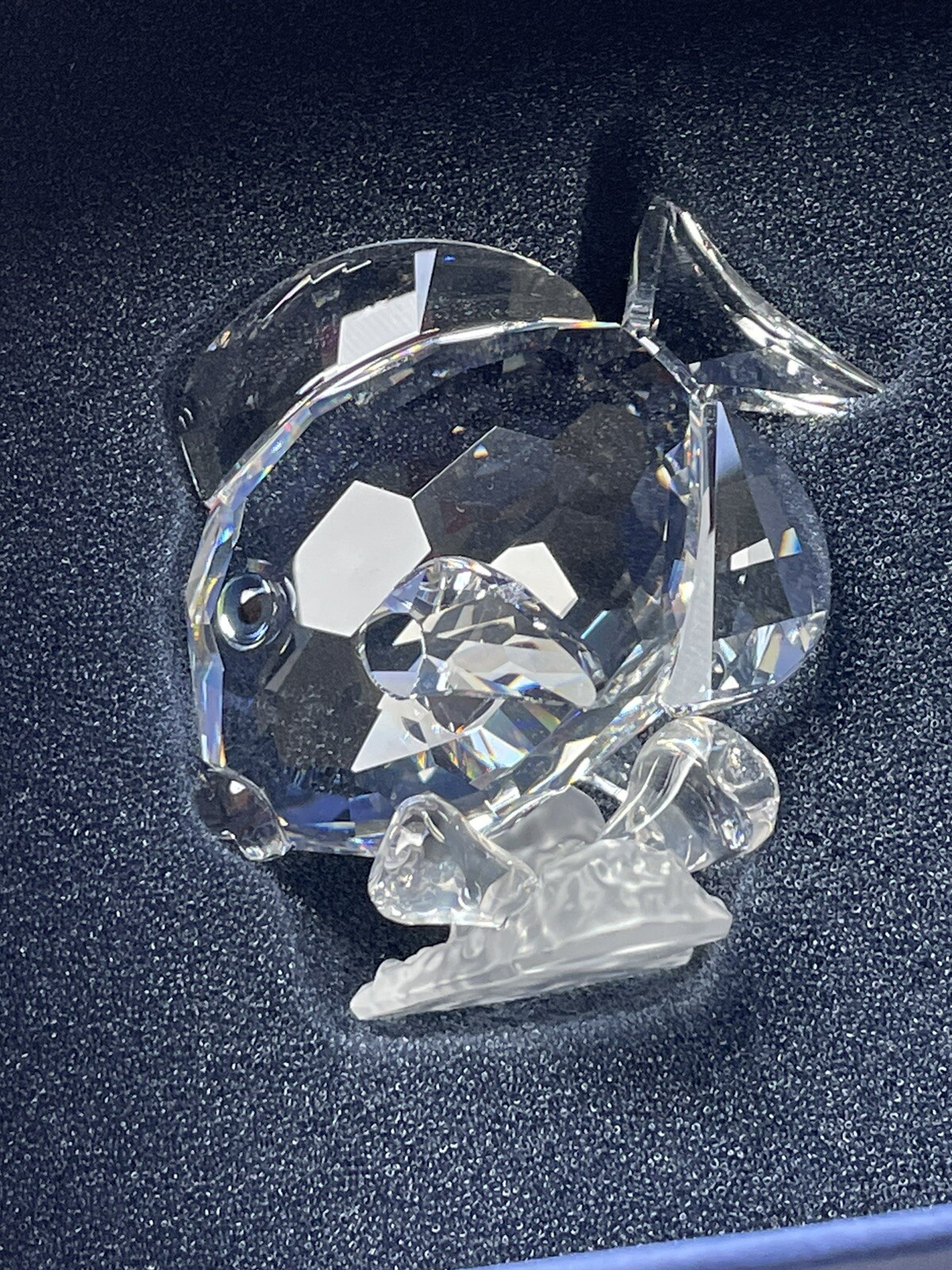Picture 2 of 5
