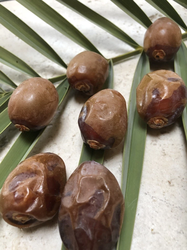 2x5LB (10Lb)-.. DOLCE BROWN DÁTILES MÁS DULCES QUE MEDJOO... CALIFORNIA FRESCAS. Foto 4 de 4