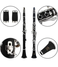 Glory Clarinet GLY-PBK Pro Ebonite Bb Clarinet w/10 Reeds Stand Grease Brush Pad