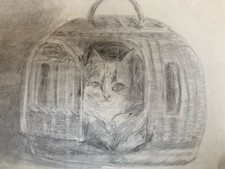 Very Beautiful Drawing 1880 19TH Pencil Cat Animal Animal Basket Antique