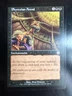 MTG Magic the Gathering Phyrexian Arena (47/148) Apocalypse NM - FREE SHIPPING