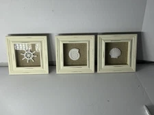 Okuna Outpost Sand Dollar Shadow Box Wall Decor 3-Pack - Beach Wall Art & Coa...