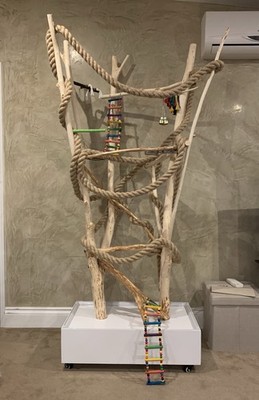 Papageienbarsch Turnbaum - Indoor/Outdoor Baum für alle Vogelarten