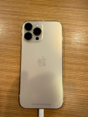 TikTok iPhone 13 Pro Max